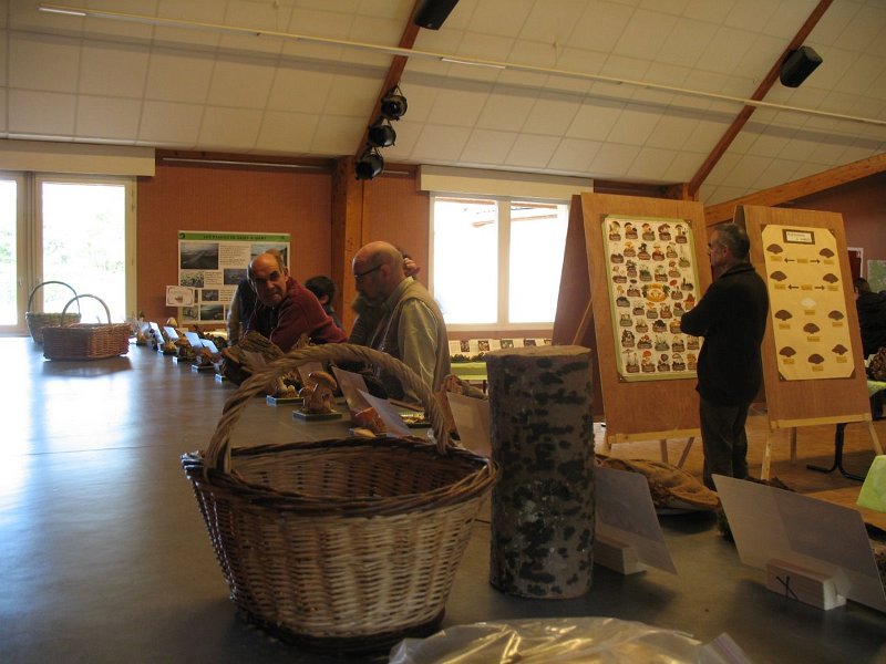 2009 10 Expo champignons de Clairefontaine 23